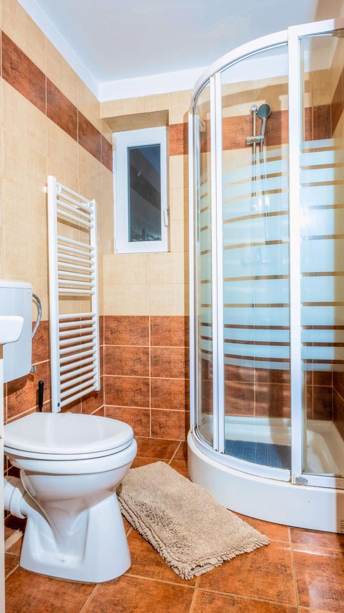 Vila Stefana Păltiniş Habitación foto