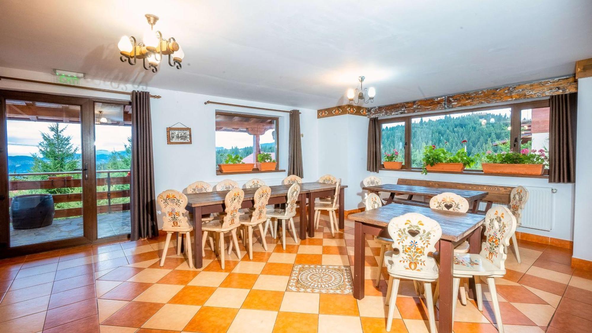 Vila Stefana Păltiniş Exterior foto